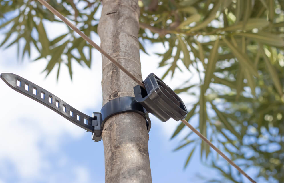 Agilo tree nursery support