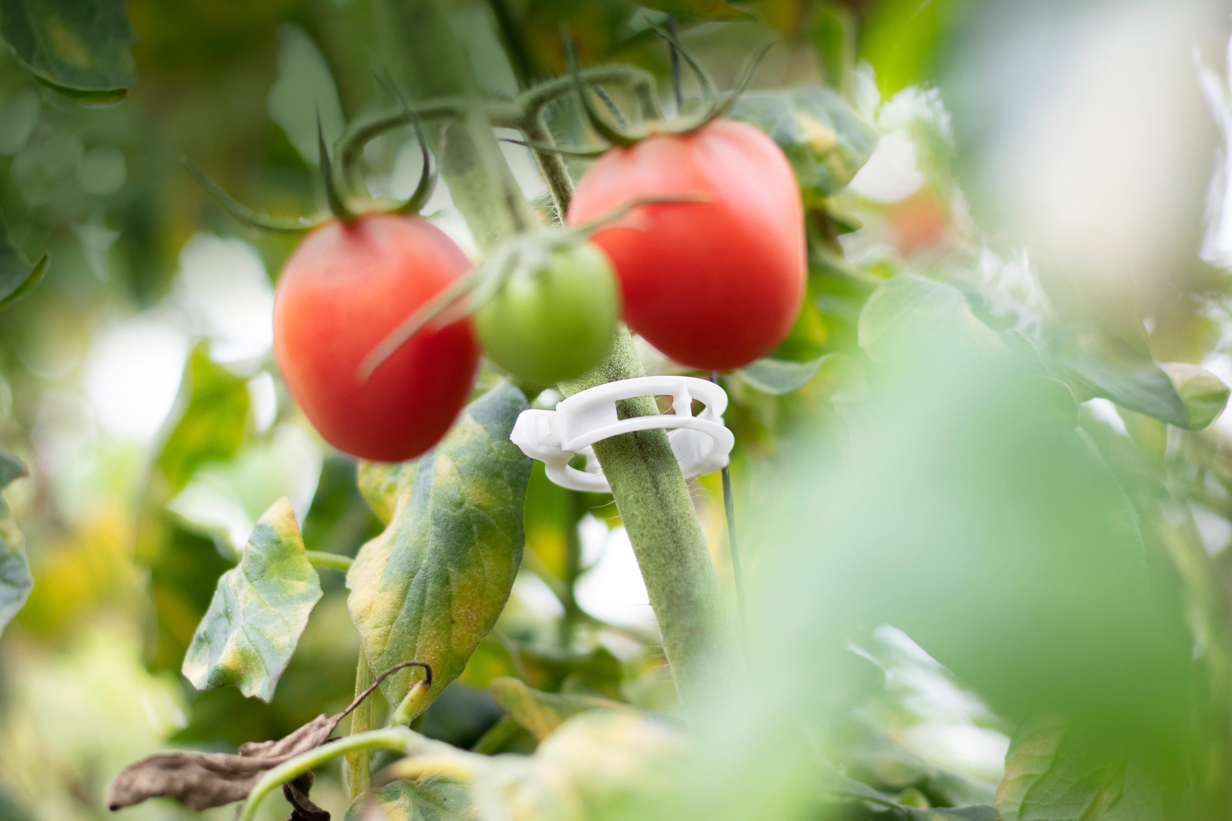 Go to Agriculture (New window)